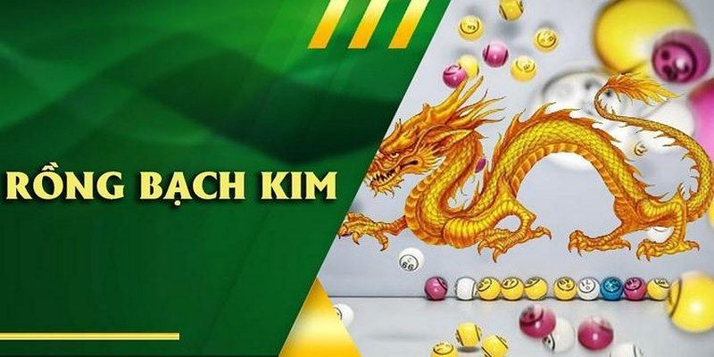 Vài nét cơ bản về rồng bạch kim