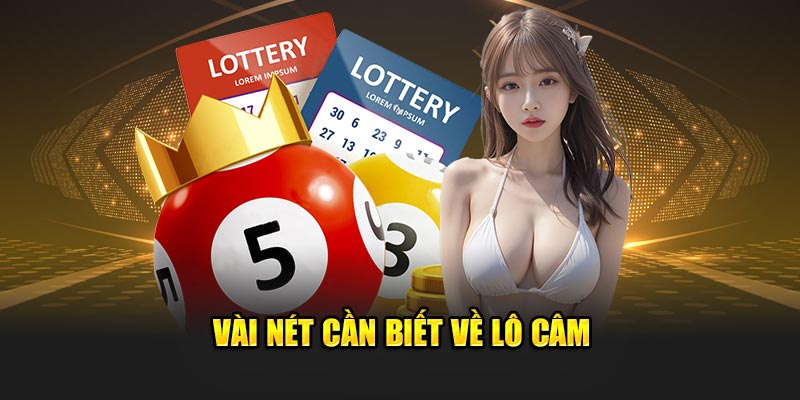 Vài nét cần biết về lô câm